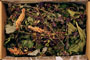 Tea "Butterfly"