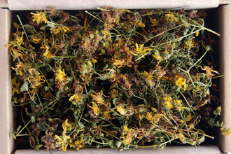 Johnswort