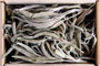 Sage leaves